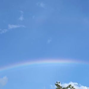 Meet your Posher, Ava